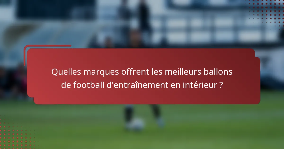 Quelles marques offrent les meilleurs ballons de football d'entraînement en intérieur ?