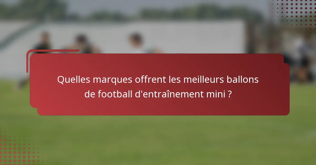 Quelles marques offrent les meilleurs ballons de football d'entraînement mini ?