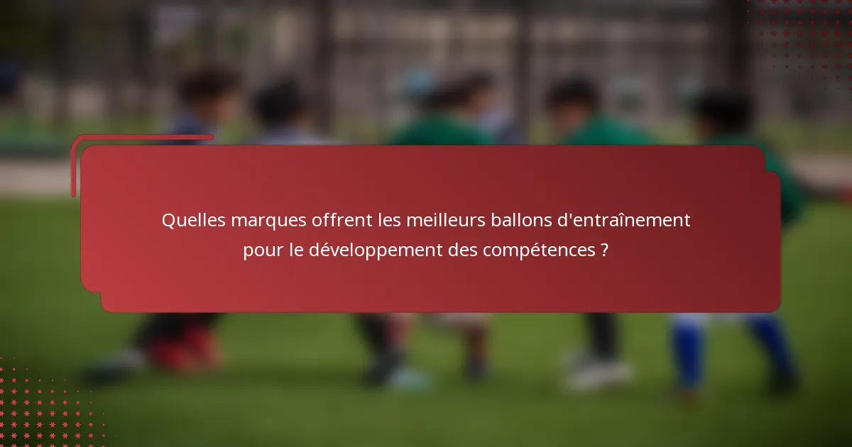 Quelles marques offrent les meilleurs ballons d'entraînement pour le développement des compétences ?