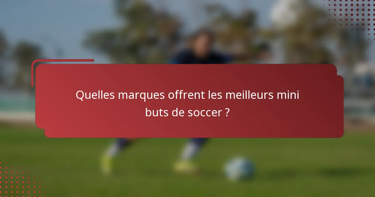 Quelles marques offrent les meilleurs mini buts de soccer ?