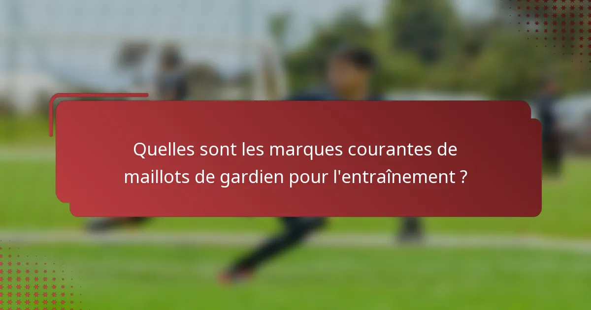 Quelles sont les marques courantes de maillots de gardien pour l'entraînement ?