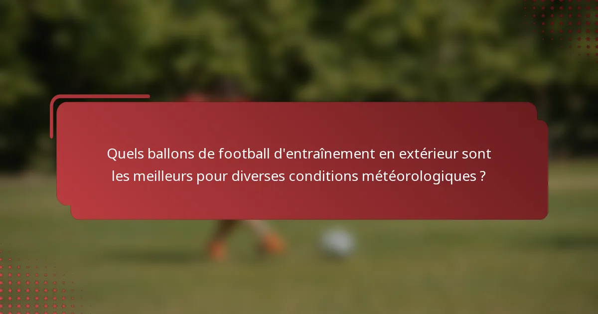 Quels ballons de football d'entraînement en extérieur sont les meilleurs pour diverses conditions météorologiques ?