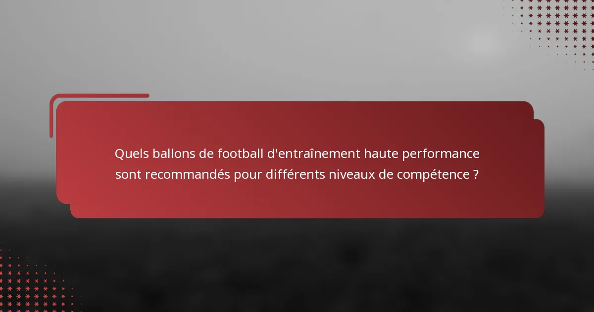 Quels ballons de football d'entraînement haute performance sont recommandés pour différents niveaux de compétence ?