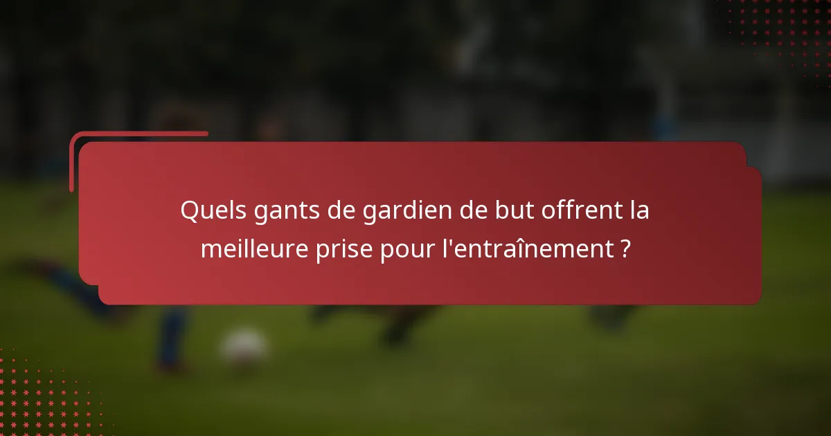 Quels gants de gardien de but offrent la meilleure prise pour l'entraînement ?