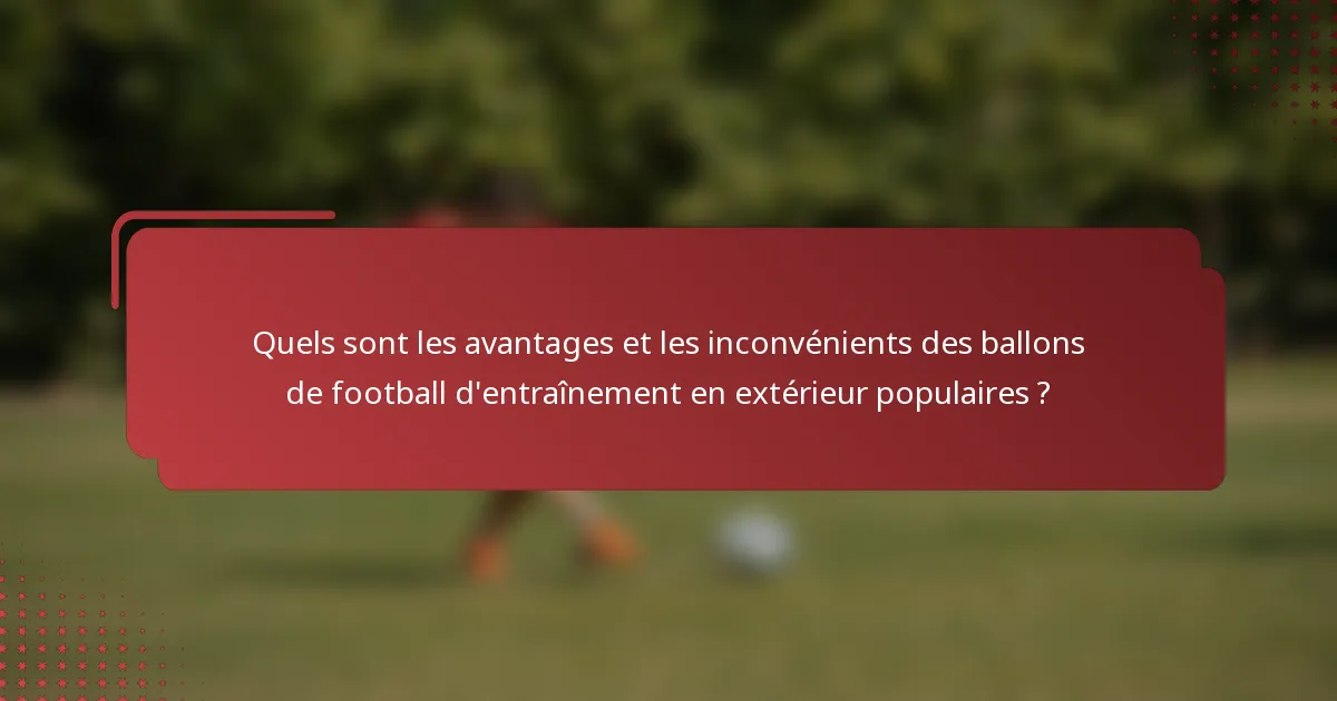 Quels sont les avantages et les inconvénients des ballons de football d'entraînement en extérieur populaires ?